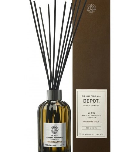 NR. 903 NAMŲ KVAPAS RYTIETIŠKO KVAPO