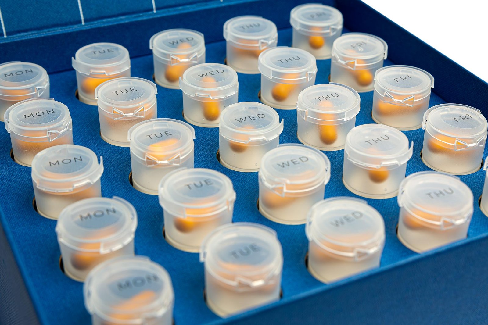 NoAGE women sapphirus - Image 2